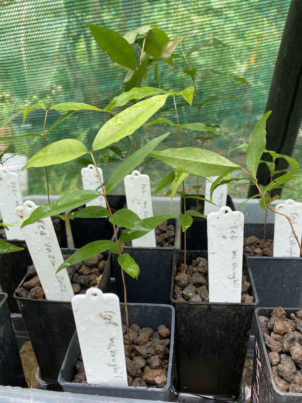 C084FEB6-FCBA-4EEE-9997-F8373B838E33