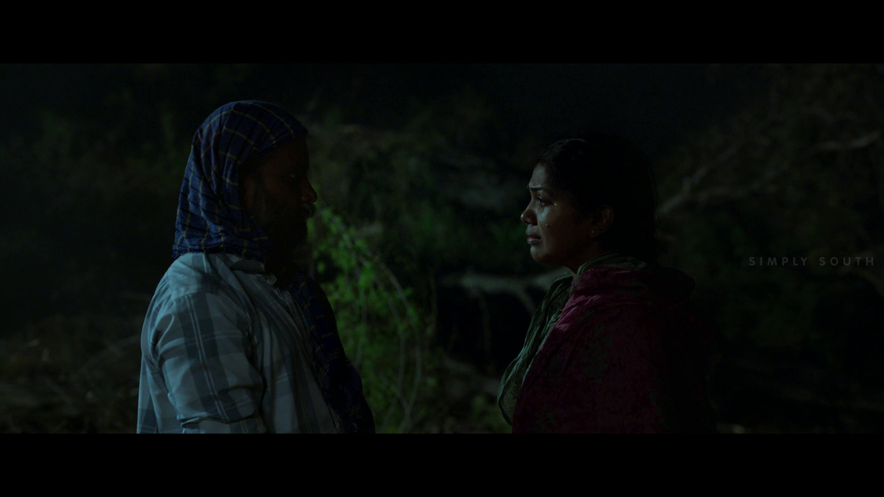 vlcsnap 2025 11 02 13h43m36s557