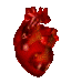 bigheart