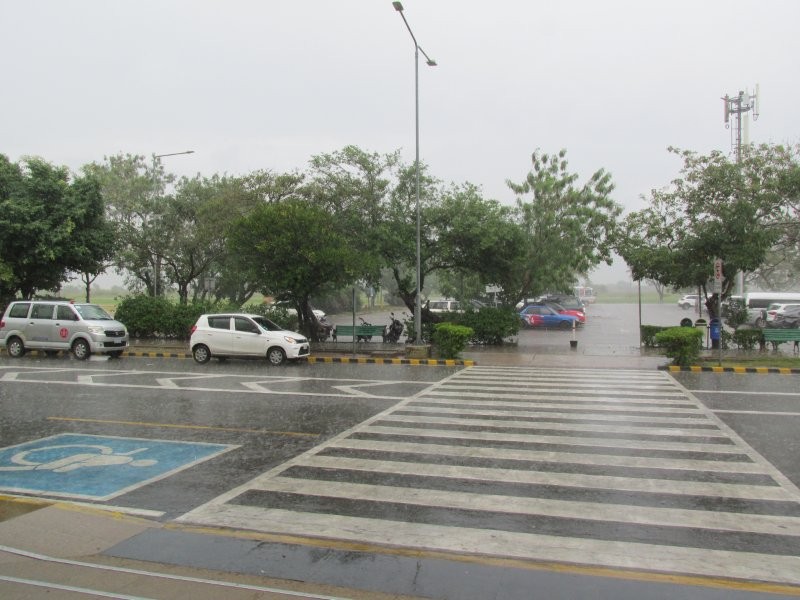 IMG-8905.jpg