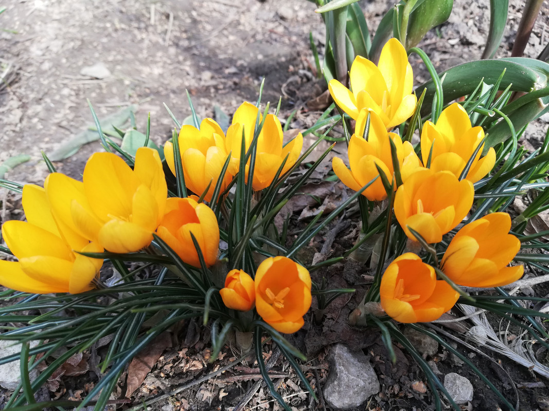 IMG_20190303_130924