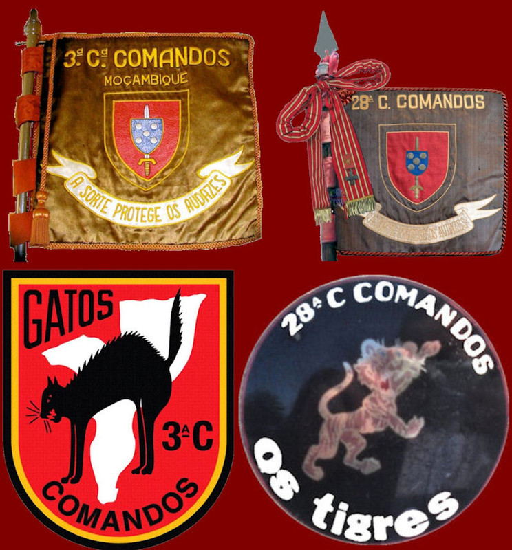 3-CCmds-28-CCmds-800