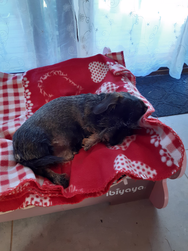 [Image: 20251229-090328.avif]