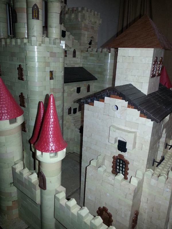 1980834_786859581341403_435068561_n