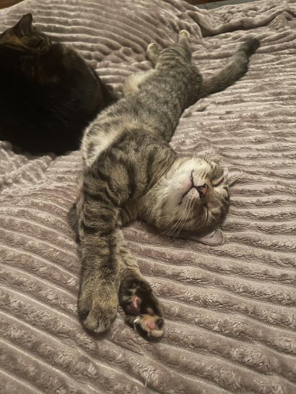 97438803-273C-45B1-B160-A9D3D37B2619