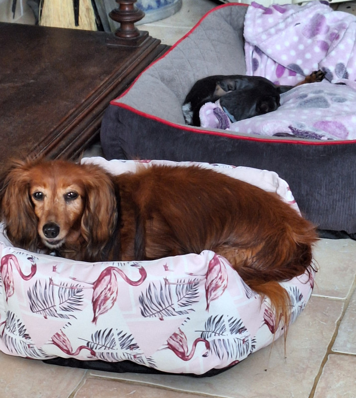 [Image: 20240330-141756.jpg]