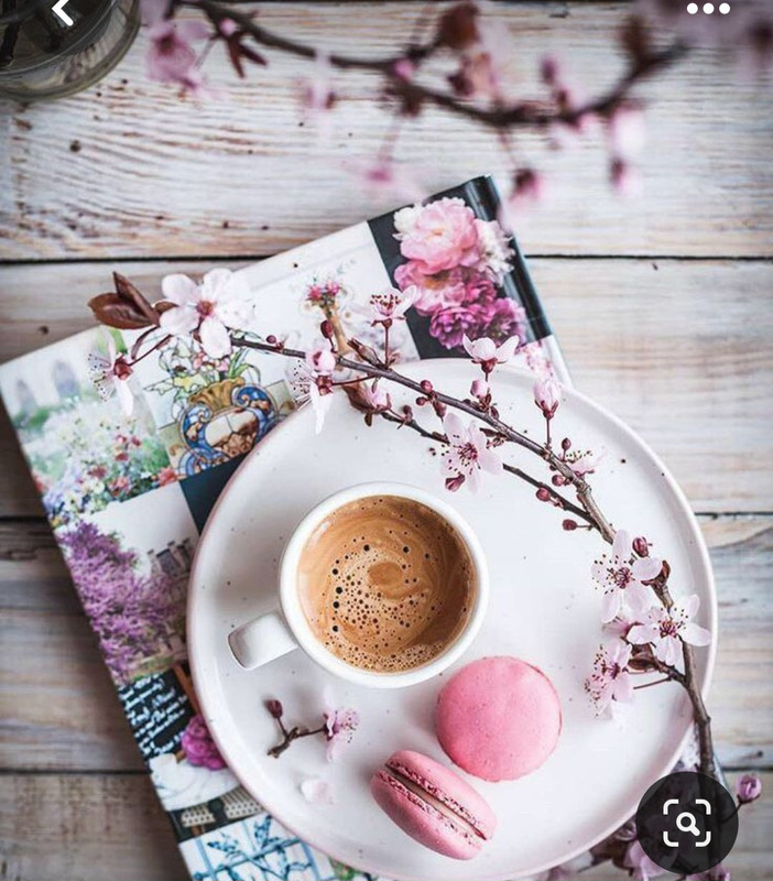 Screenshot_20240428_170714_Pinterest