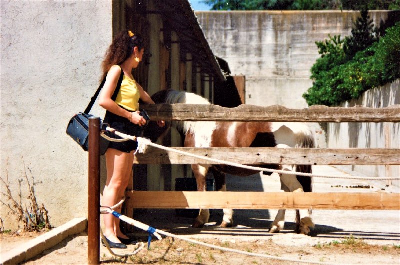 Paseando por España-1991/2024 - Blogs of Spain - ZOO DE MADRID-1992/2001/2006/2007-MADRID (2)