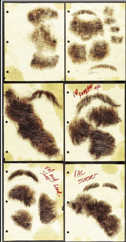 https://i.postimg.cc/HspFWDLs/hairpieces-from-doors-movie.jpg