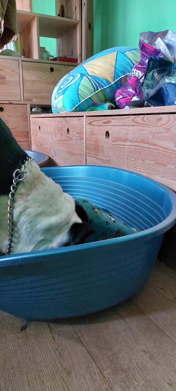 905F3F51-B04D-423F-B711-D3D6F98156A6