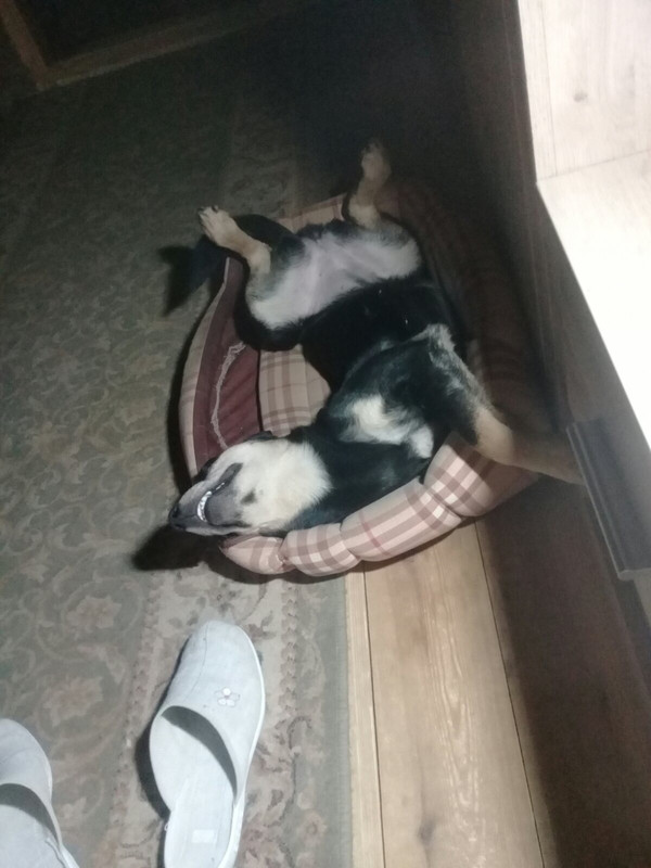 15E03E41-ED80-432F-97FA-B190C14846E4