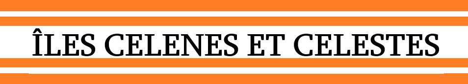 https://i.postimg.cc/HspmpWkW/dsfgvhjnknjk.png