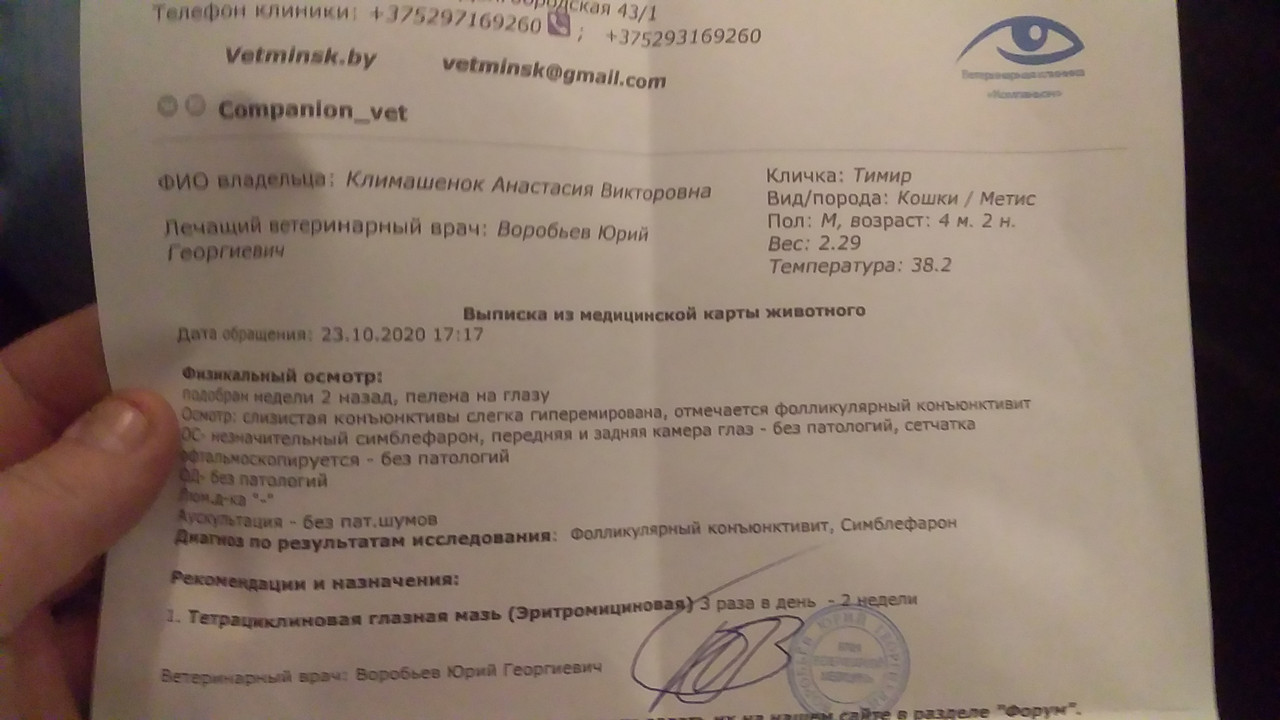 IMG-09d6cf779e4adfdf01b49041d7143066-V