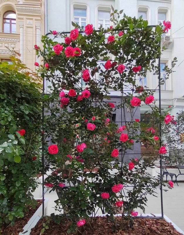 https://i.postimg.cc/HspvRr9m/35-IMG-20250616-173918.jpg
