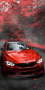 crop.gif