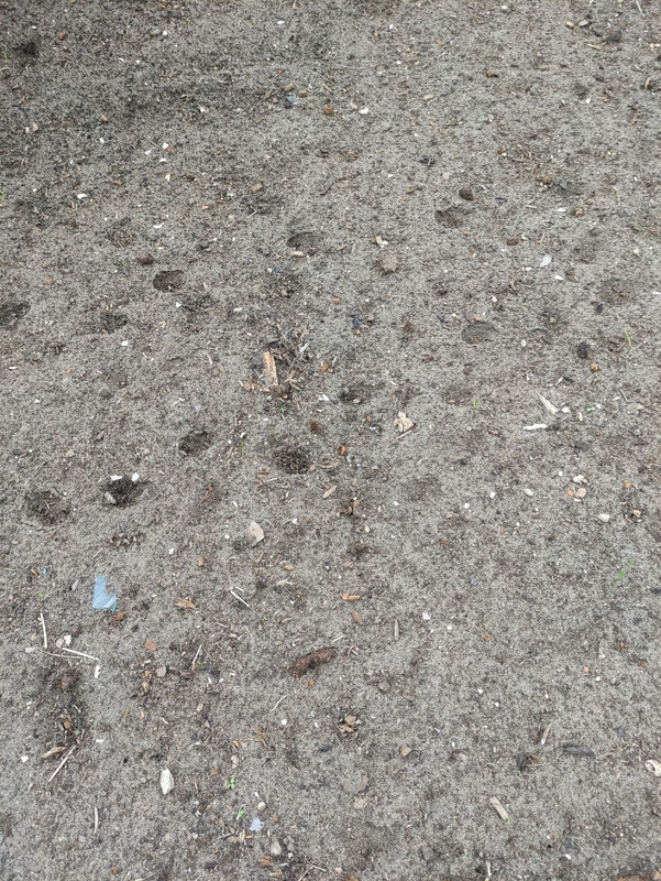 IMG-20220925-140824-1.jpg