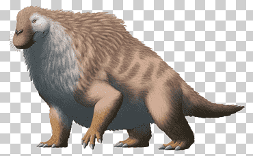 gratis-png-anteosaurus-sinapsido-moschops-mamifero-dinocefalia-dinosaurio-thumbnail