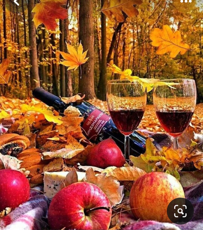 Screenshot_20231117_202925_Pinterest