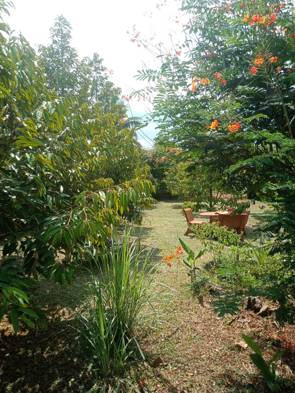 IMG20260612140441