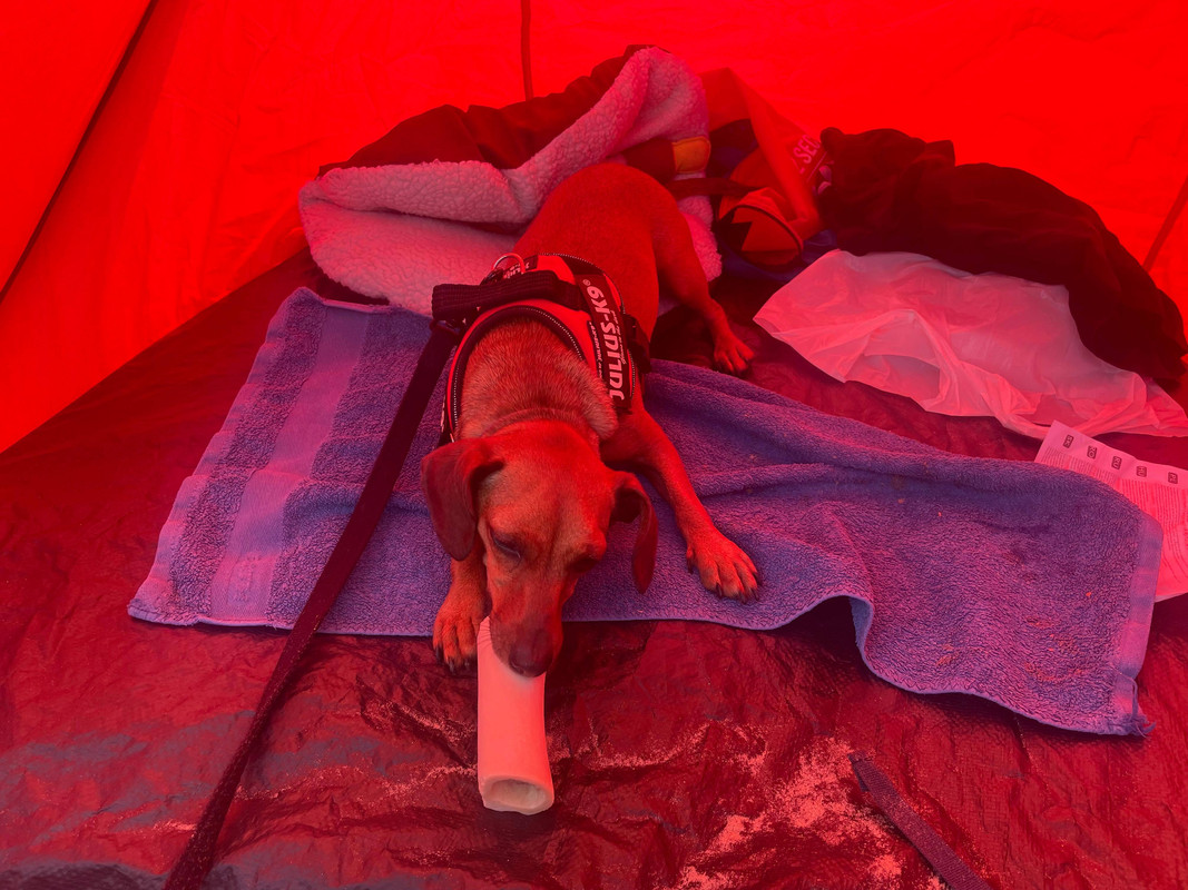 [Image: poppins-la-plage-1.jpg]