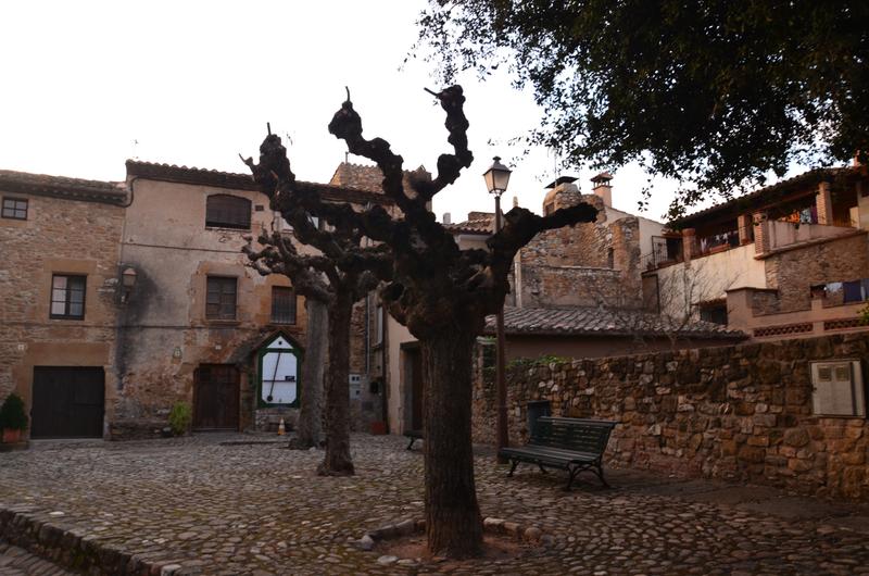 VULPELLAC-21-11-2017 - Gerona y sus pueblos-2016/2017 (14)