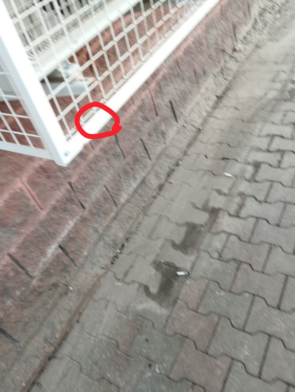 IMG 20260325 165608