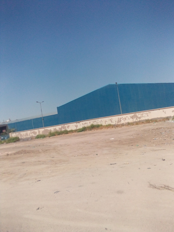 IMG_٢٠٢١٠٦٠٧_١٤٠٢٣٣_٧٢٦