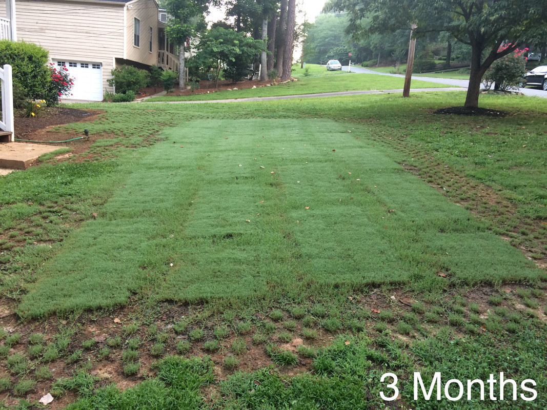 D8FD0616-6B87-48F4-9D0C-BF28C64A4FEE