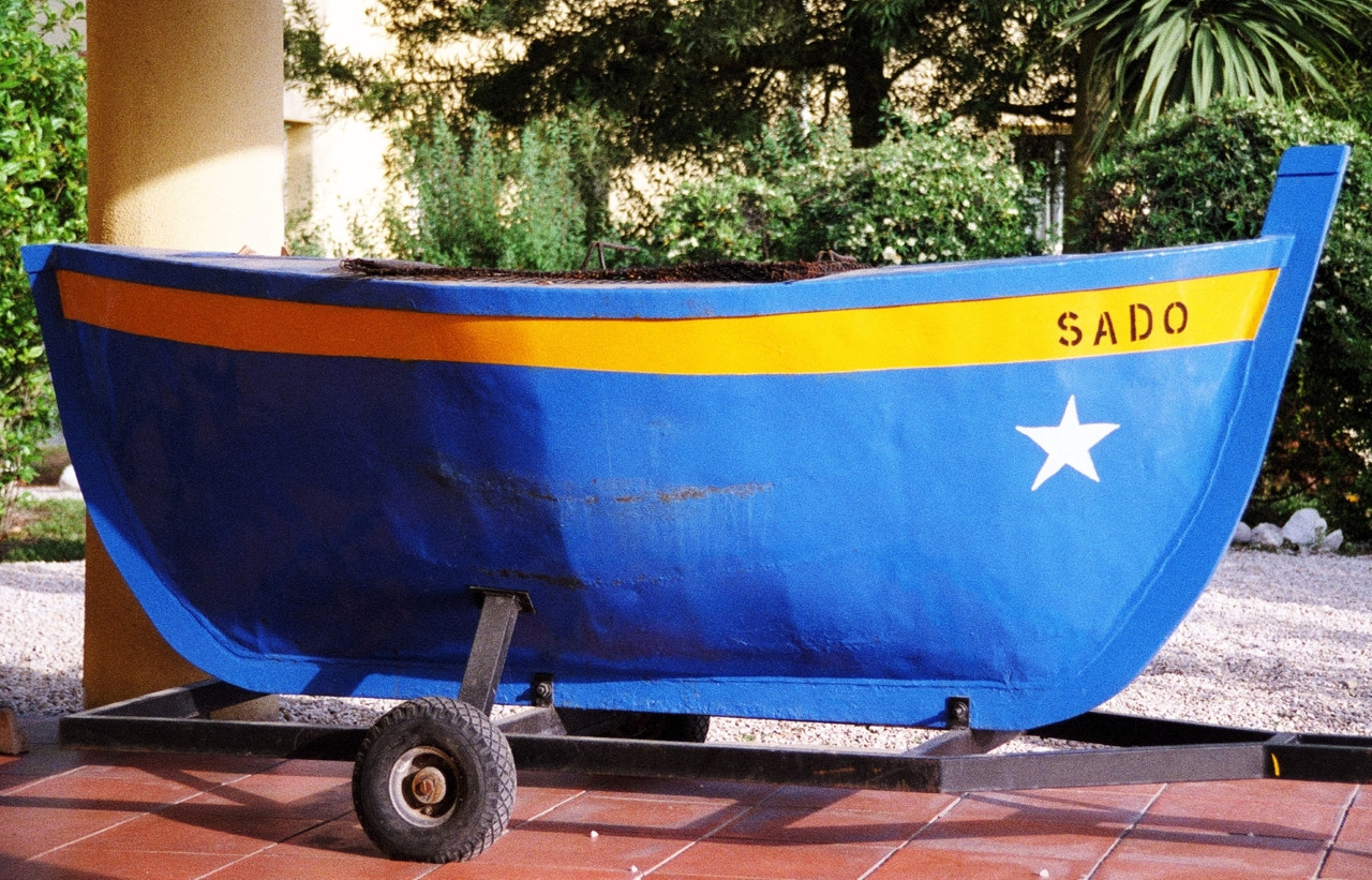 p5.jpg