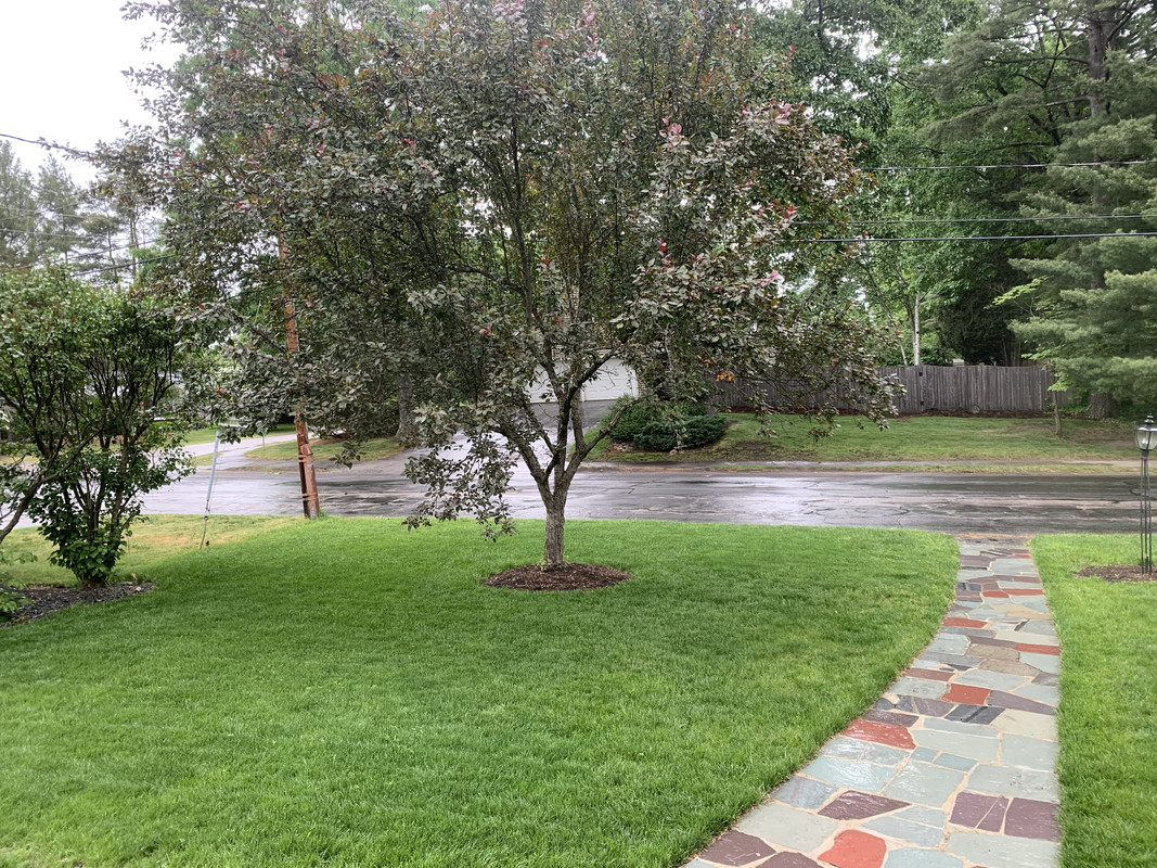 36A7768E-3D0F-4B42-B76B-CC516E0253E9