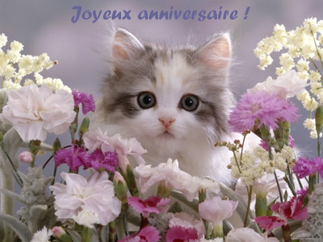 Forum Happy Birthday Page 8 Forum Happy Birthday Page 8