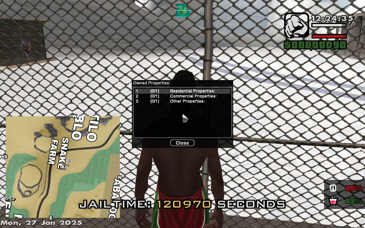 samp-27-01-2025-12-24-35.png