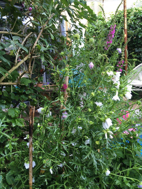 58310CE0-FC43-4614-BB5A-F624F907DBF6