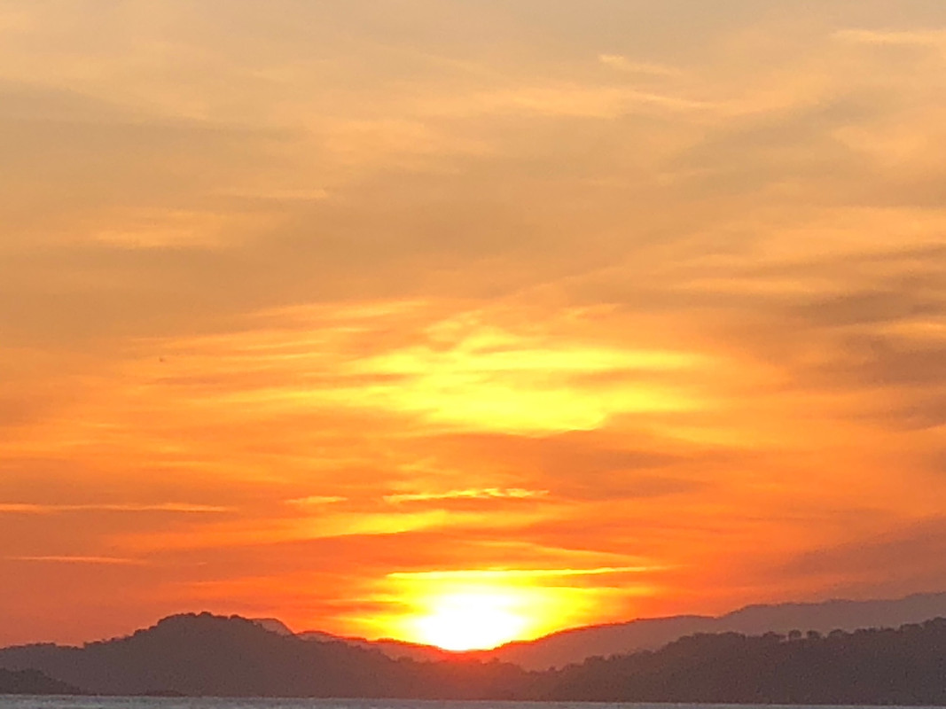 170CB39B-366A-4D5E-B8D5-58304F0D57EA