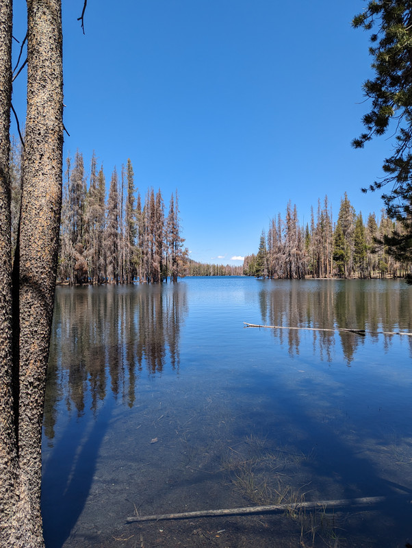 PXL_20250613_194121965