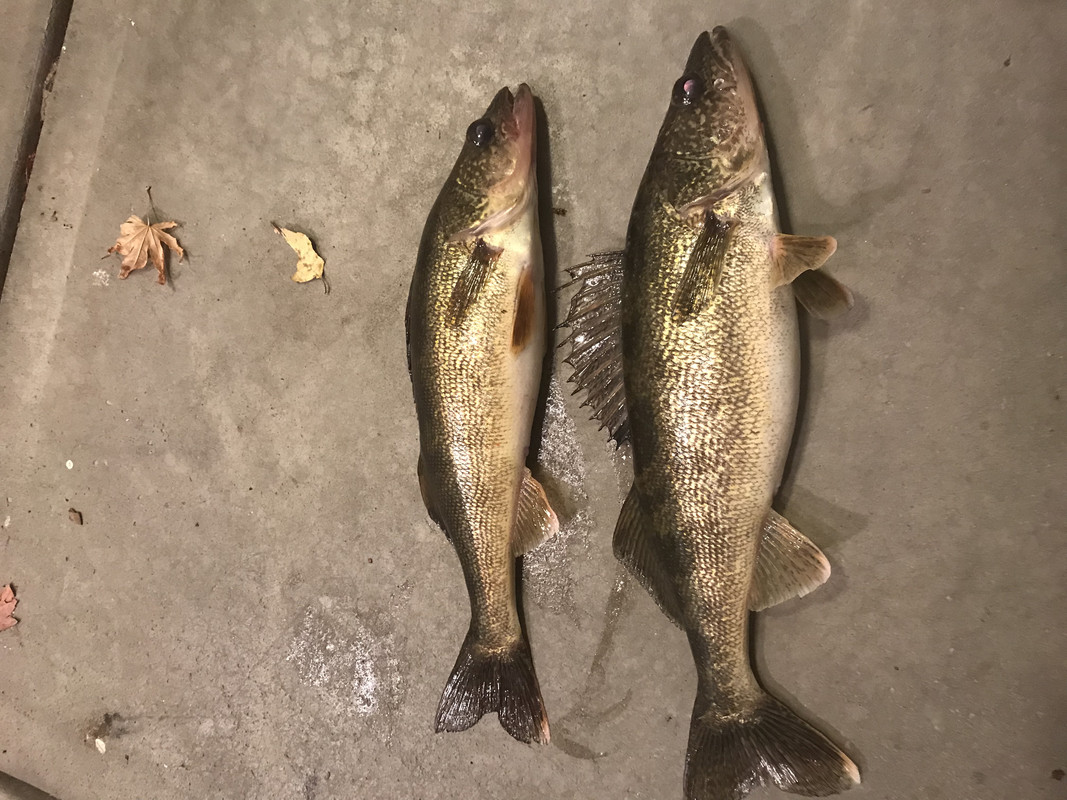 587E3DB1-16FD-41C3-84B5-4D9B492E8810