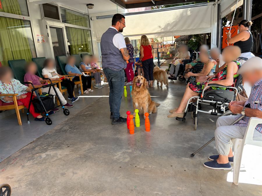 Sesión real de intervención asistida con perros de Grupo Nokhoi