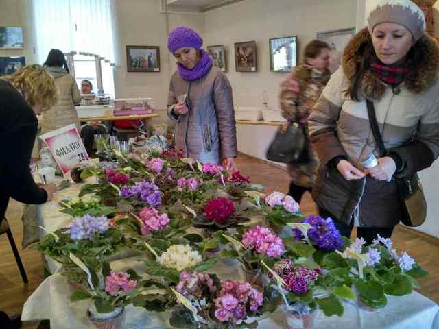 выст В 22.04.17 4