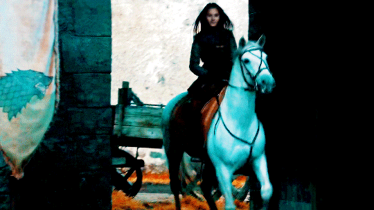 ���� ���� ������ �� ���� ������