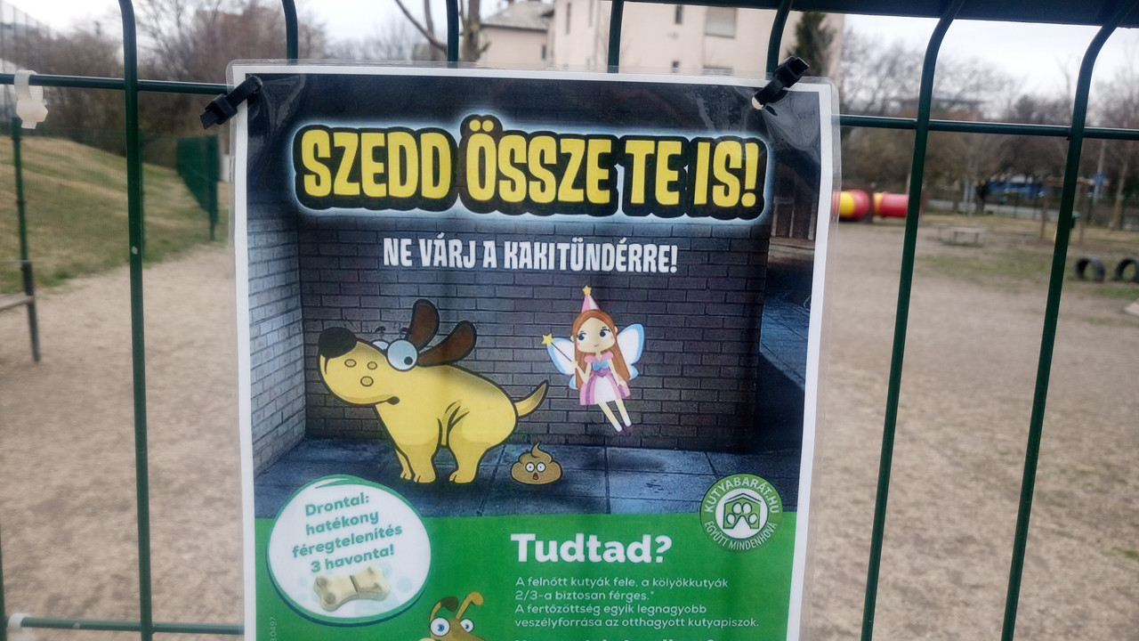 Kép