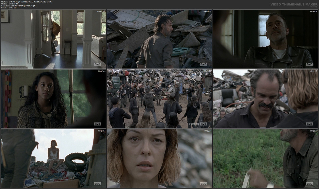 The Walking Dead S08E10 The Lost and the Plunderers.mkv