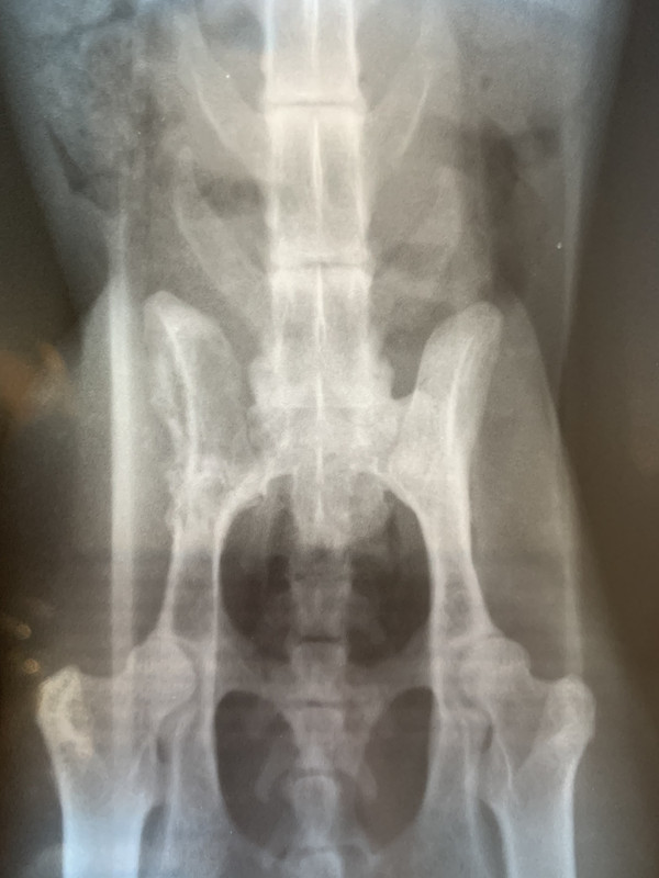 EC89BF83-251D-4428-9D65-ACC2CE2B29EB