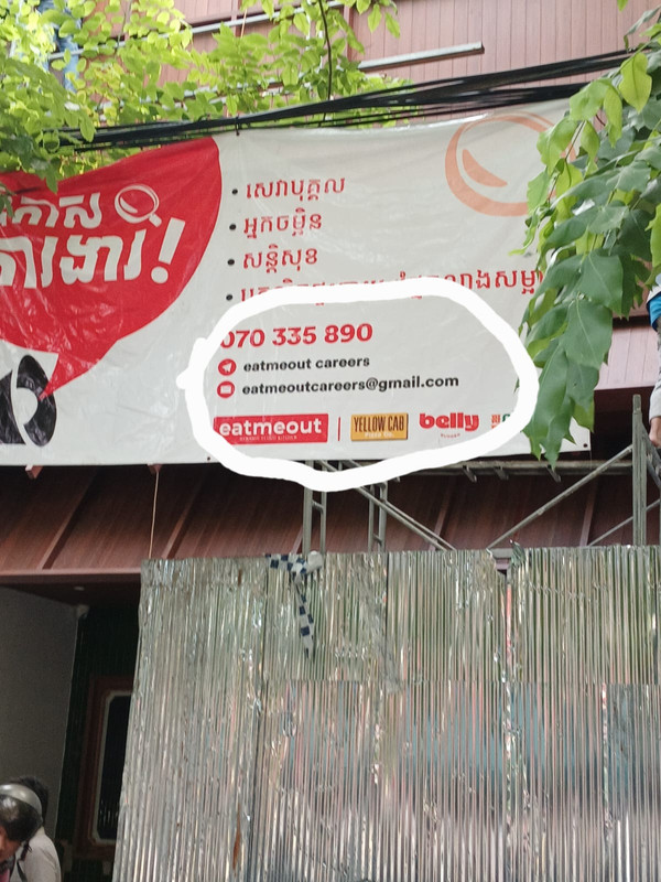 Translation