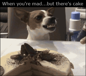 mad.gif
