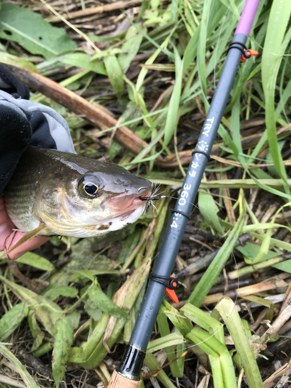 0C54A7AF-CF22-4AF7-8ACA-D8A9349CC903