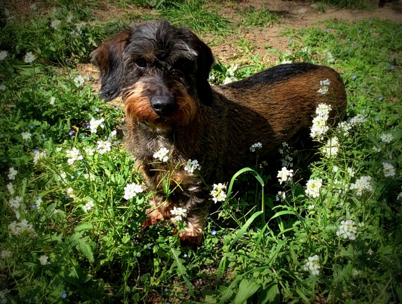 [Image: IMG-0652.jpg]