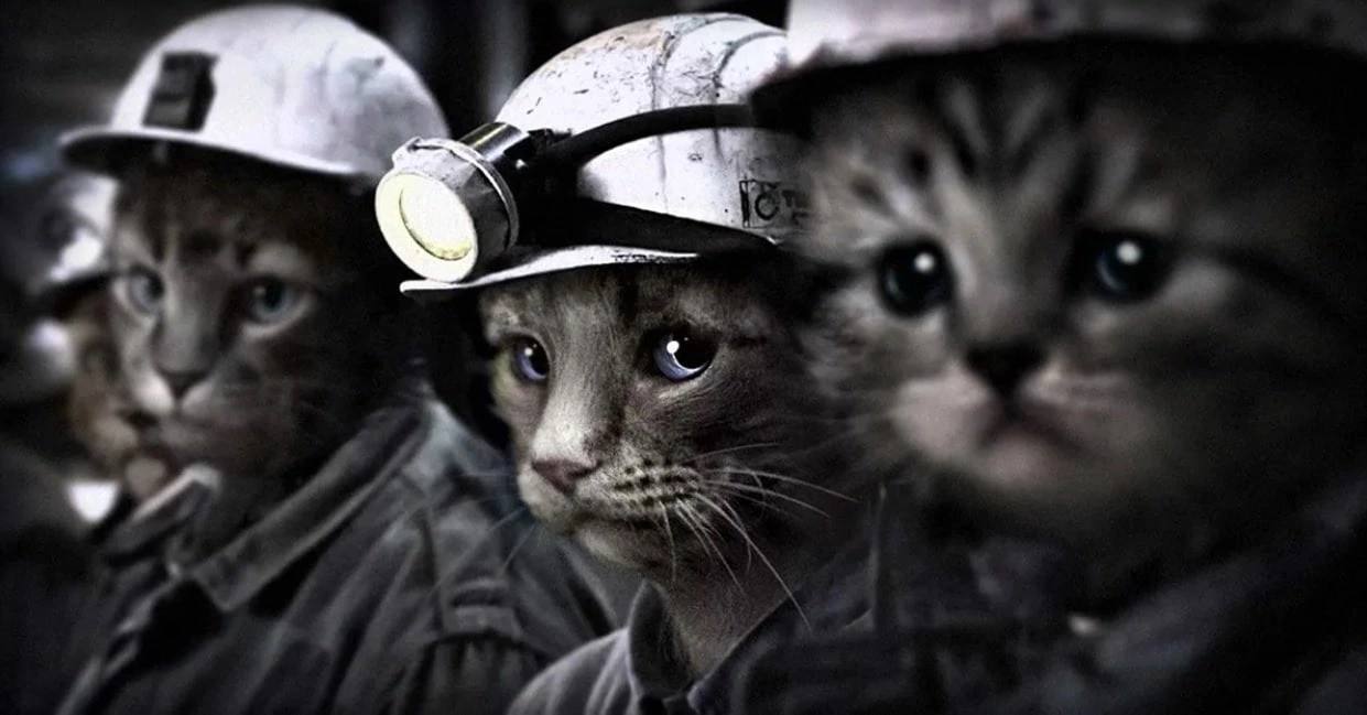 Cat workers fund Logo