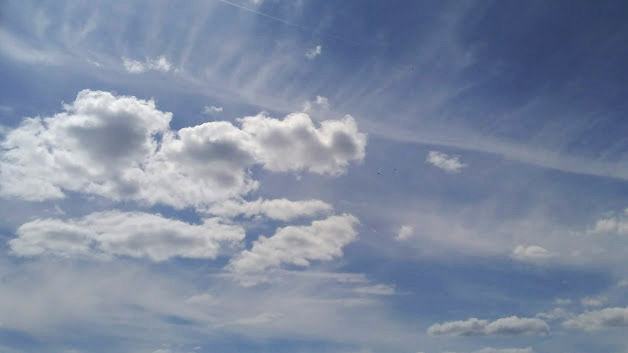 IMG-2019-05-23-115222.jpg