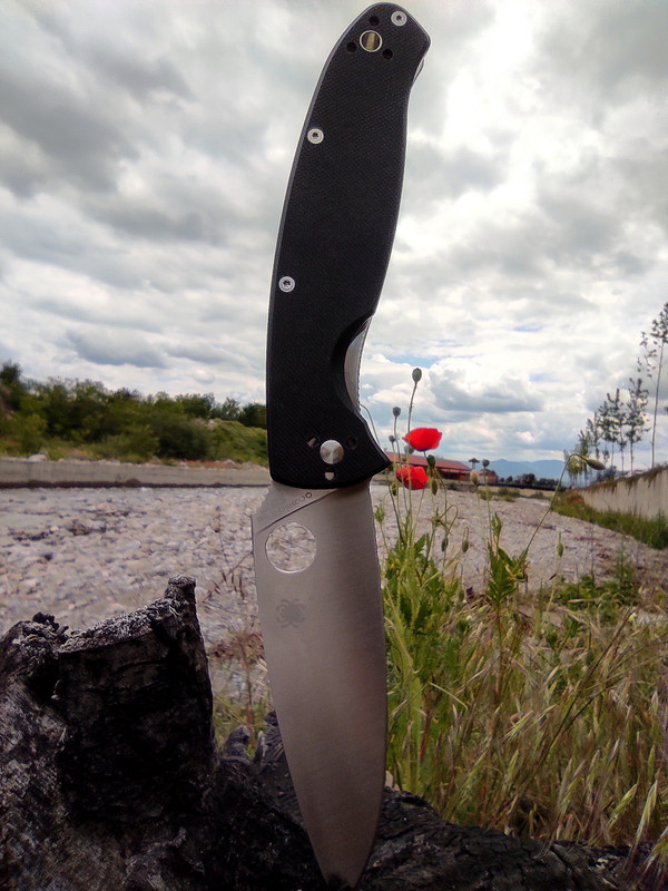 COLLAGE-20210529-142837