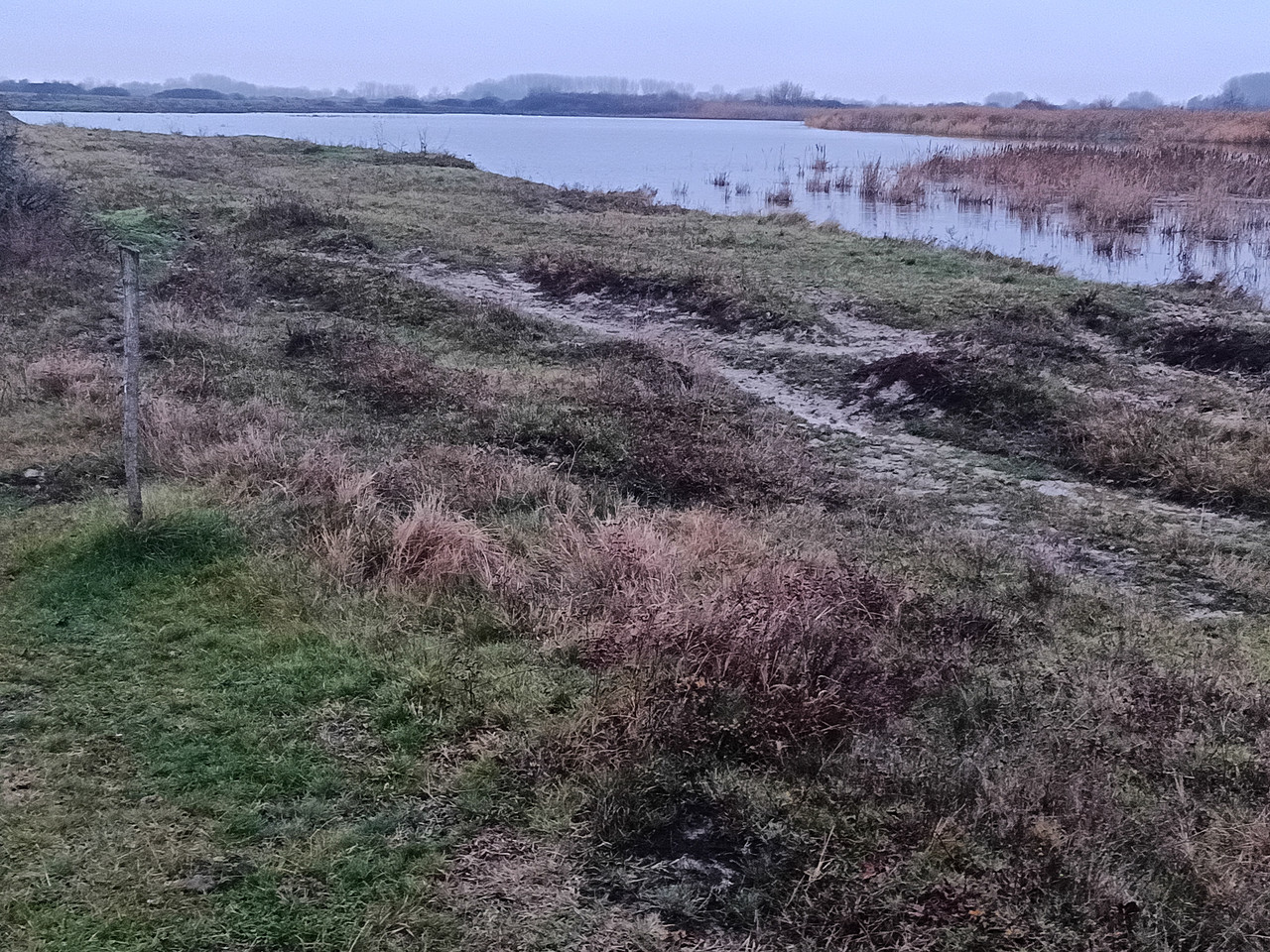 IMG 20251207 153835 425